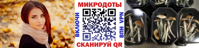 Галлюциногенные грибы Magic Shrooms  Темников 